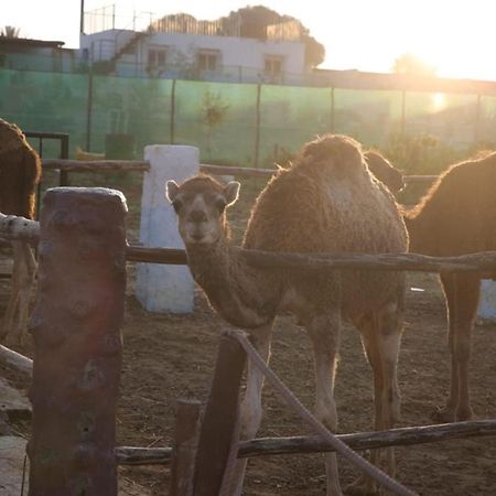 La Granja Guest House Tétouan Екстериор снимка