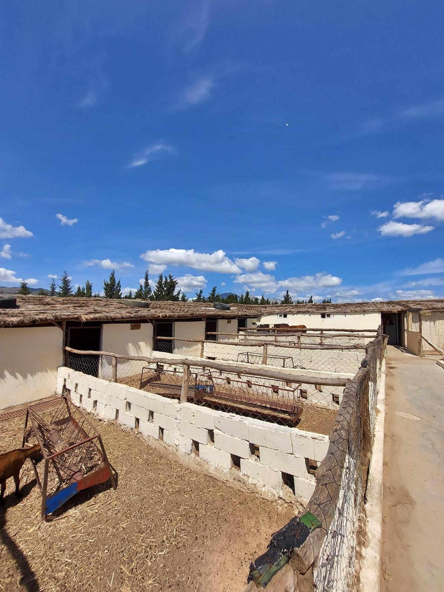 La Granja Guest House Tétouan Екстериор снимка