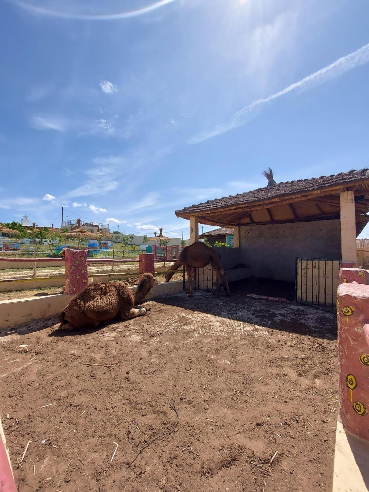 La Granja Guest House Tétouan Екстериор снимка