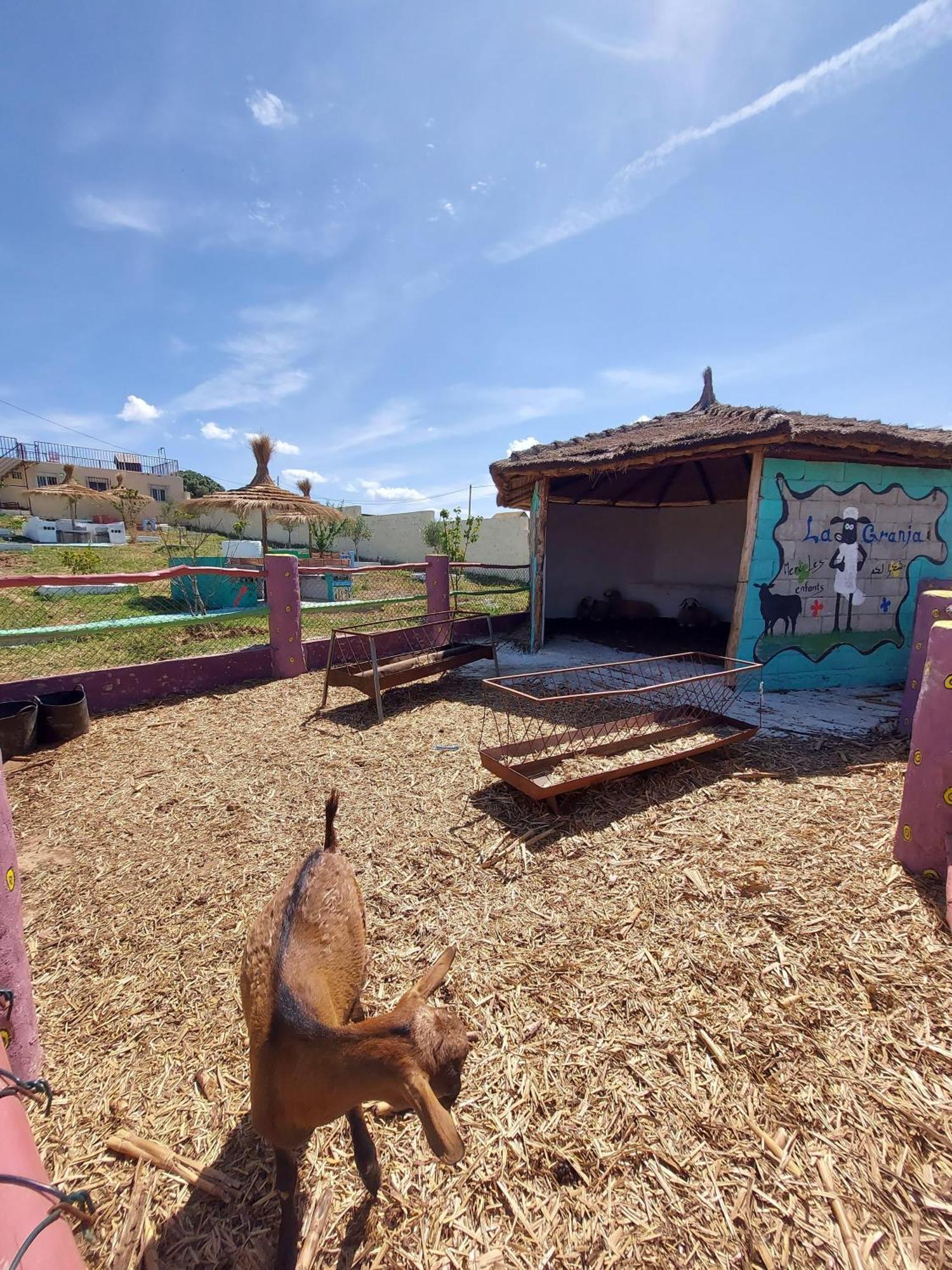 La Granja Guest House Tétouan Екстериор снимка